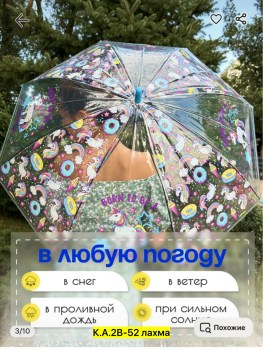 Одежда