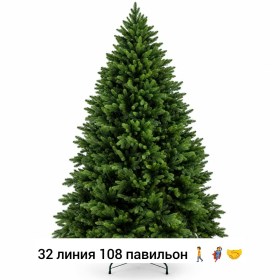 Одежда