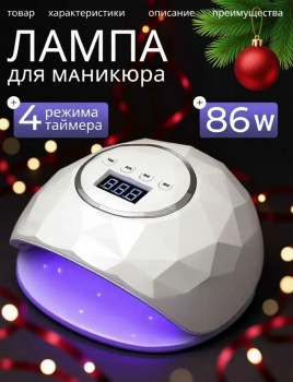 Одежда