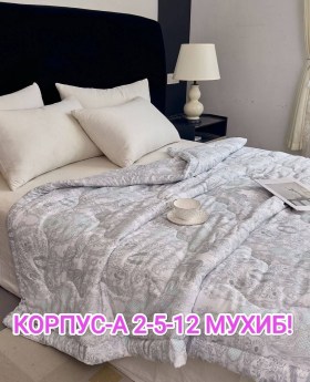 Одежда