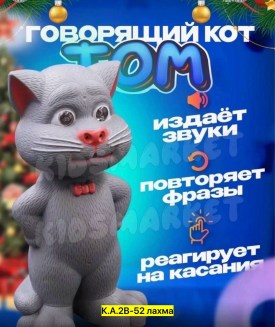 Одежда