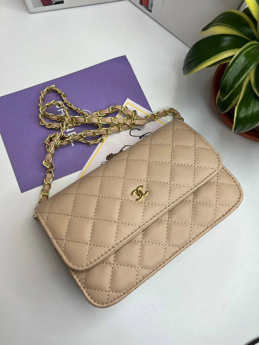 сумка chanel,сумки шанель,сумочка шанель,сумки модные,сумки для женщин