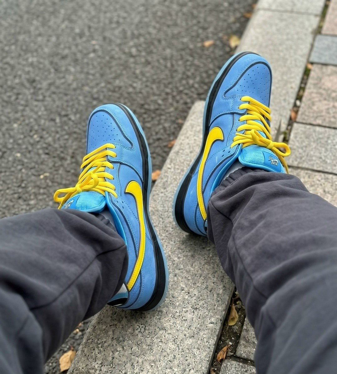 dunk low nike,кроссовки nike sb dunk low,кроссовки the powerpuff girls x nike sb dunk low blue,nike sb dunk low,кроссовки the powerpuff girls x dunk low pro sb qs bubbles синий
