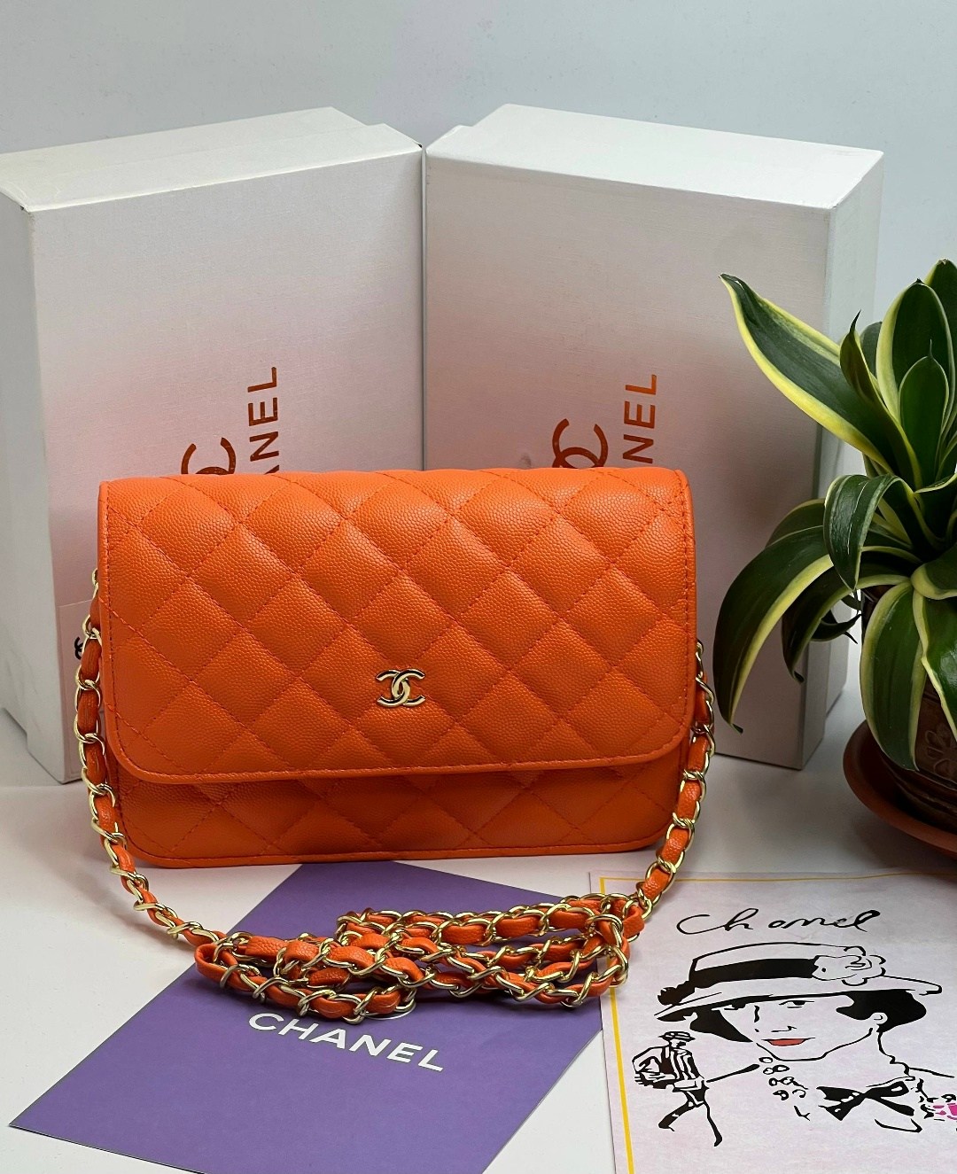сумка chanel,сумки шанель,сумочка шанель,сумки модные,сумки для женщин