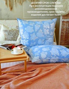 Одежда