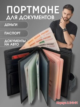 Одежда