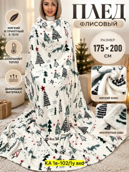 Одежда