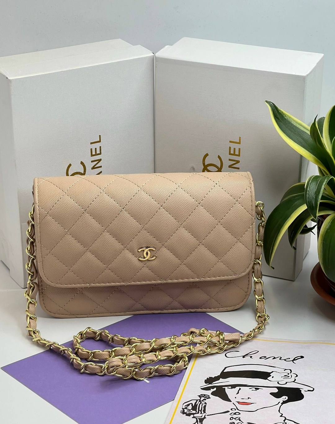 сумка chanel,сумки шанель,сумочка шанель,сумки модные,сумки для женщин