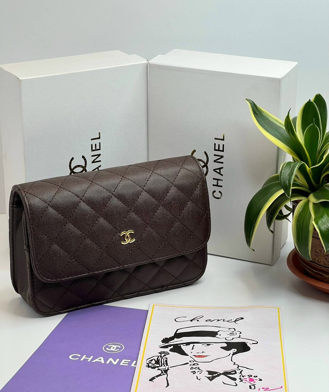 сумка chanel,сумки шанель,сумочка шанель,сумки модные,сумки для женщин