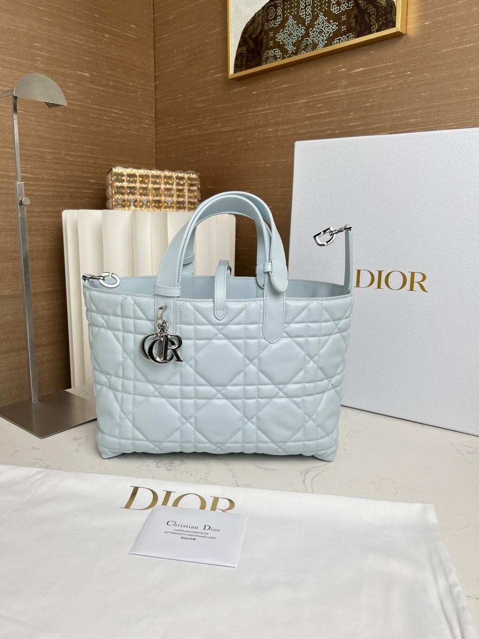 сумка dior,сумка женская dior,сумка christian dior,dior сумочки,сумка
