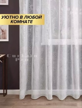 Одежда