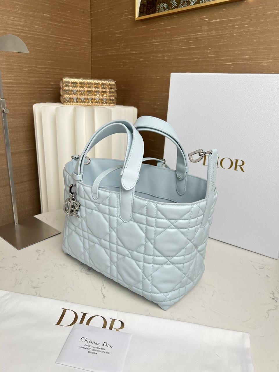 сумка dior,сумка женская dior,сумка christian dior,dior сумочки,сумка
