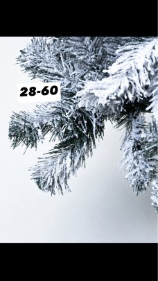 Одежда
