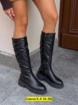 Сапоги