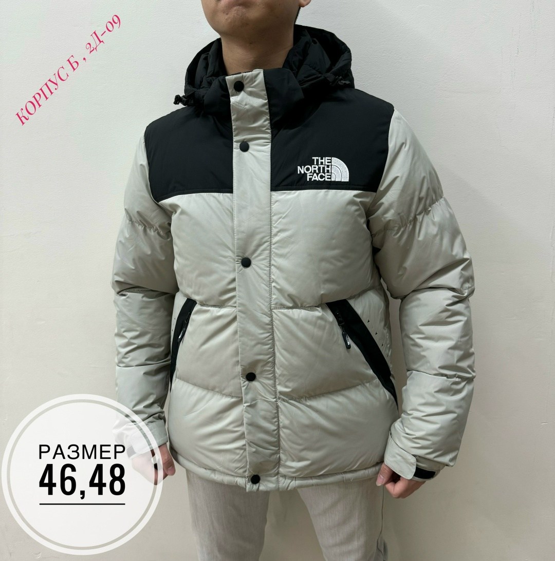 the north face куртка мужская,зимняя куртка the north face,мужская зимняя куртка,мужская зимняя куртка the north face,пуховик the north face