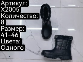 Сапоги