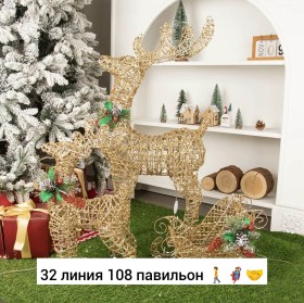 Одежда