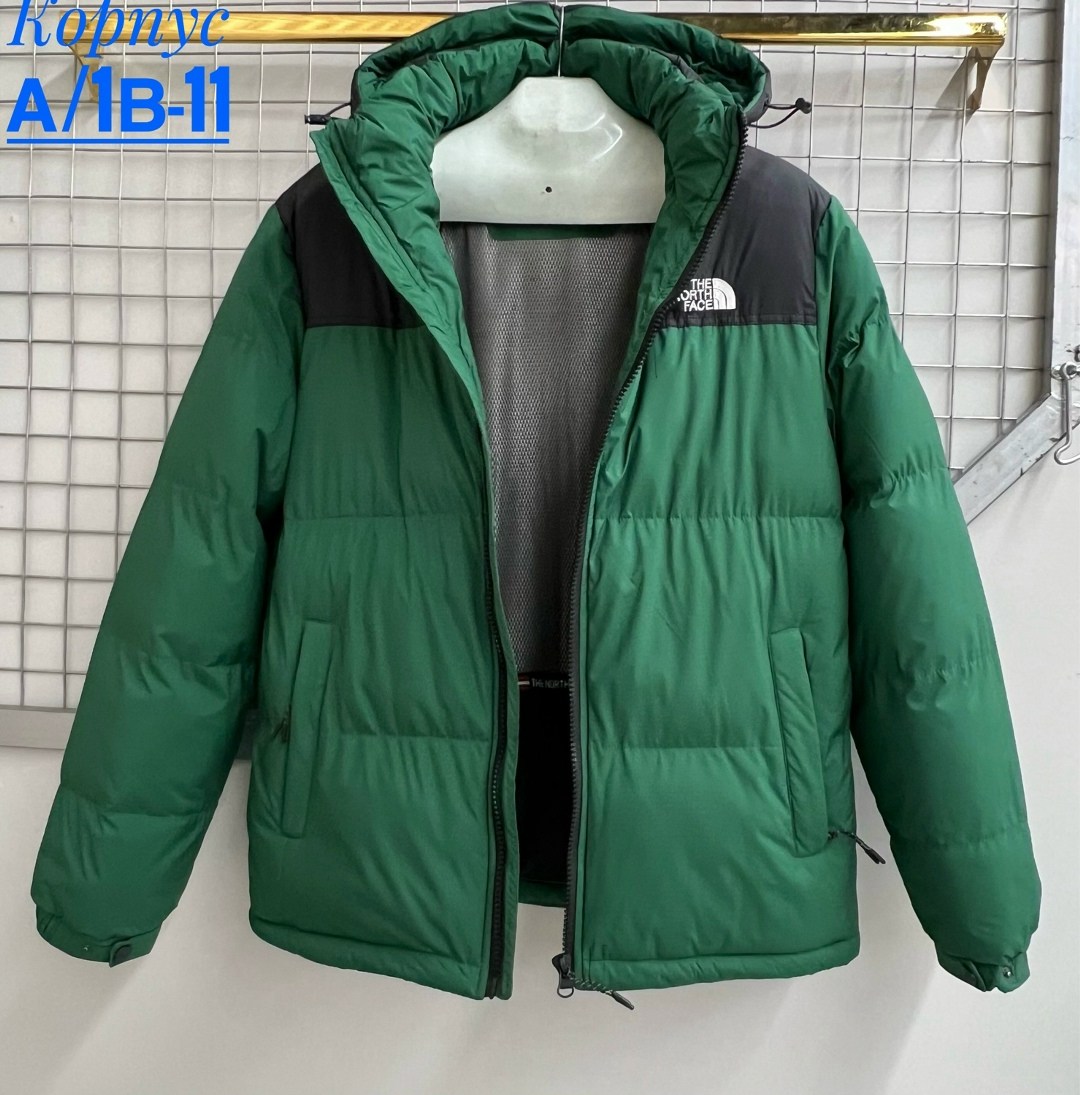 пуховик the north face,пуховик,демисезонная куртка,куртка,пуховики мужские
