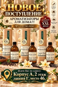 Одежда