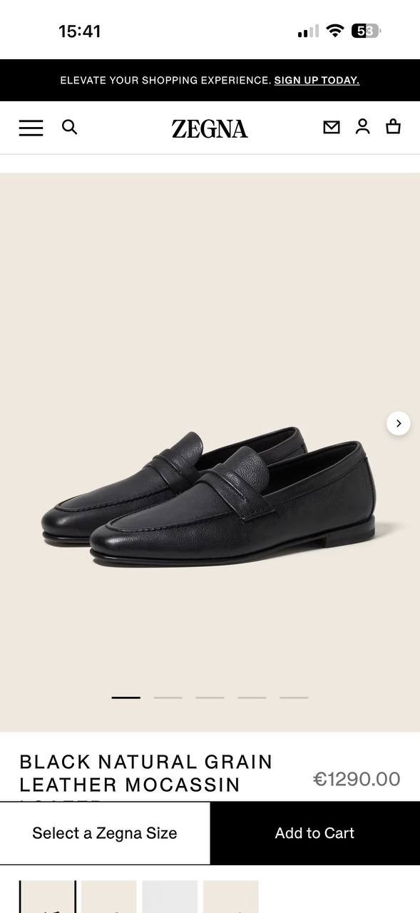 ,лоферы ermenegildo zegna,лоферы мужские,мужские кожаные лоферы,туфли мужские