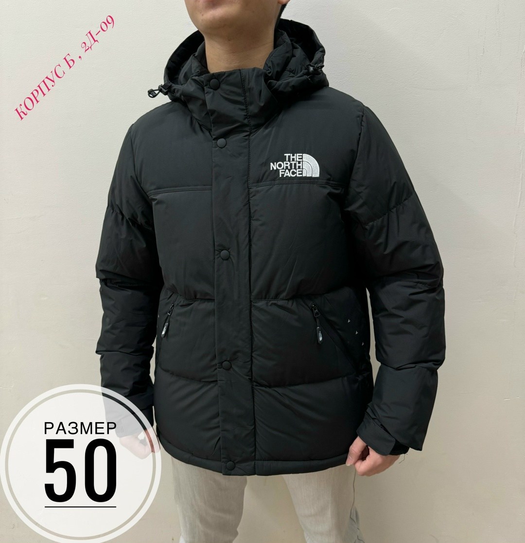 the north face куртка мужская,зимняя куртка the north face,мужская зимняя куртка,мужская зимняя куртка the north face,пуховик the north face