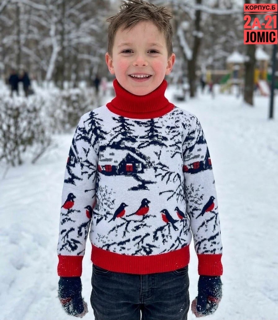 детский свитер с оленями и домиками для мальчиков pulltonic,детский рождественский свитер для мальчиков pulltonic,свитер для мальчиков,детский свитер,свитер детская