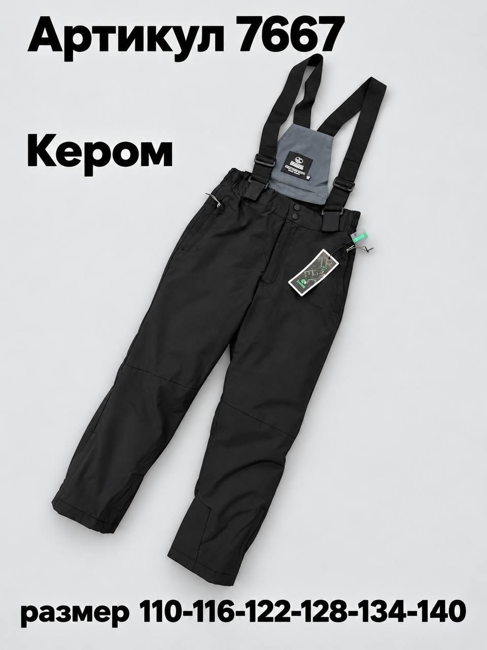 брюки горнолыжные,штаны зимние,горнолыжные штаны,брюки зимние для мальчика,брюки зимние