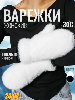 Одежда