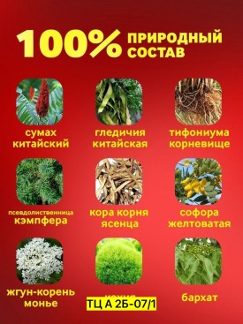 1000 мелочей