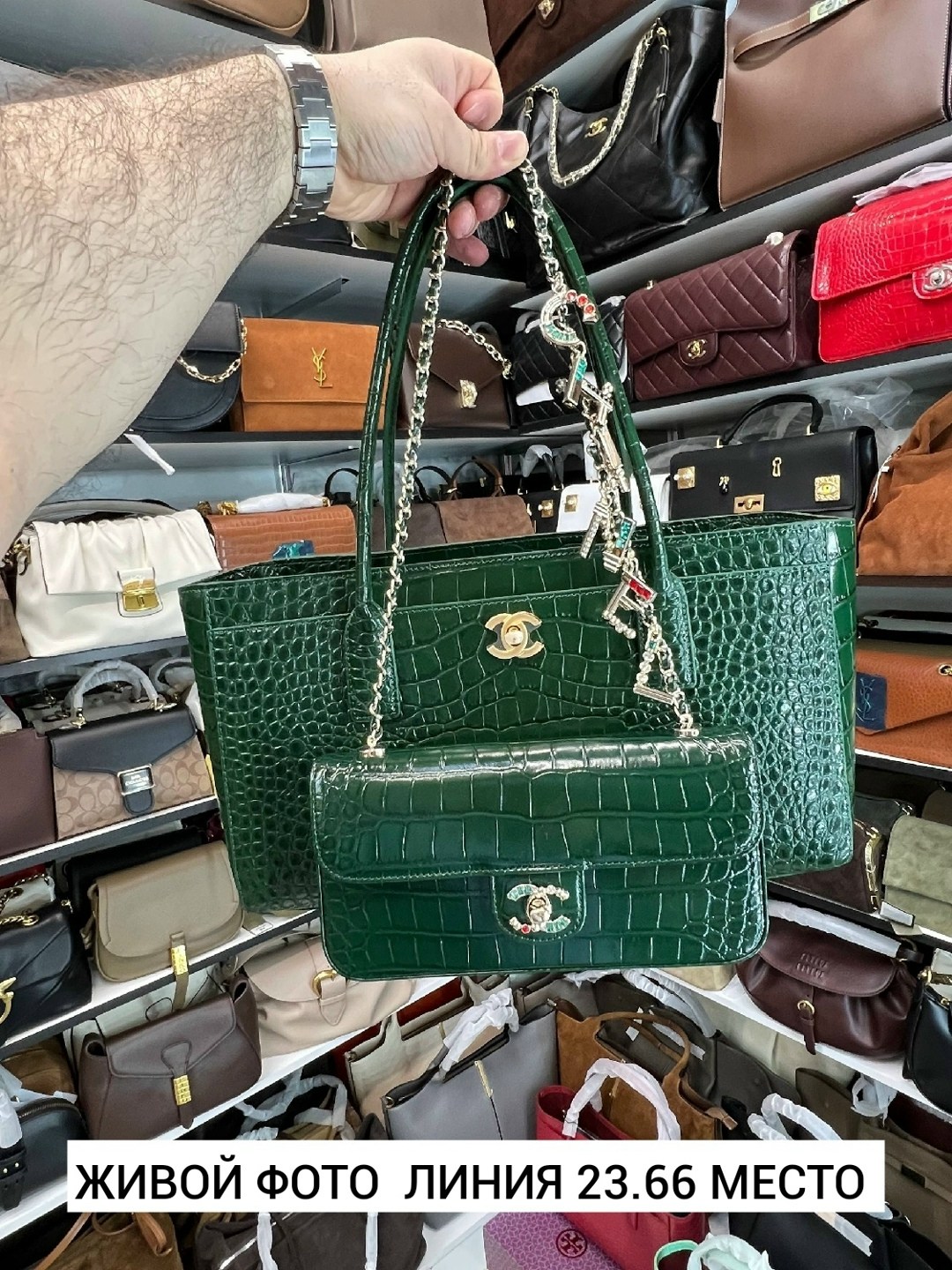 сумки шанель,сумка chanel,женская сумка chanel,модные сумки,сумки люкс
