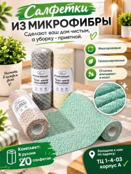 Одежда