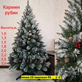 Одежда