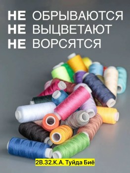 Одежда
