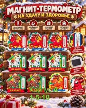 Одежда