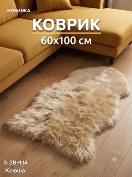 Одежда