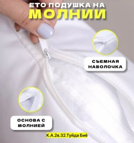 Одежда