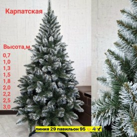 Одежда