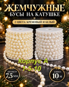 Одежда