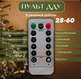 Одежда