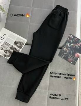 Штаны