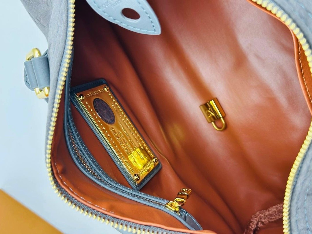 louis vuitton speedy,сумка,модная сумка,сумки для женщин,сумочка луи виттон