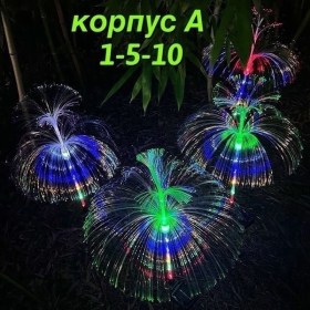 Одежда