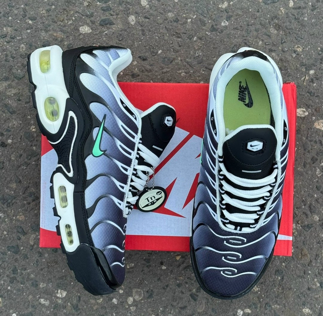 кроссовки nike air max plus tn,nike air max tn plus,nike tn air max plus aquarius blue,кроссовки,nike air max plus