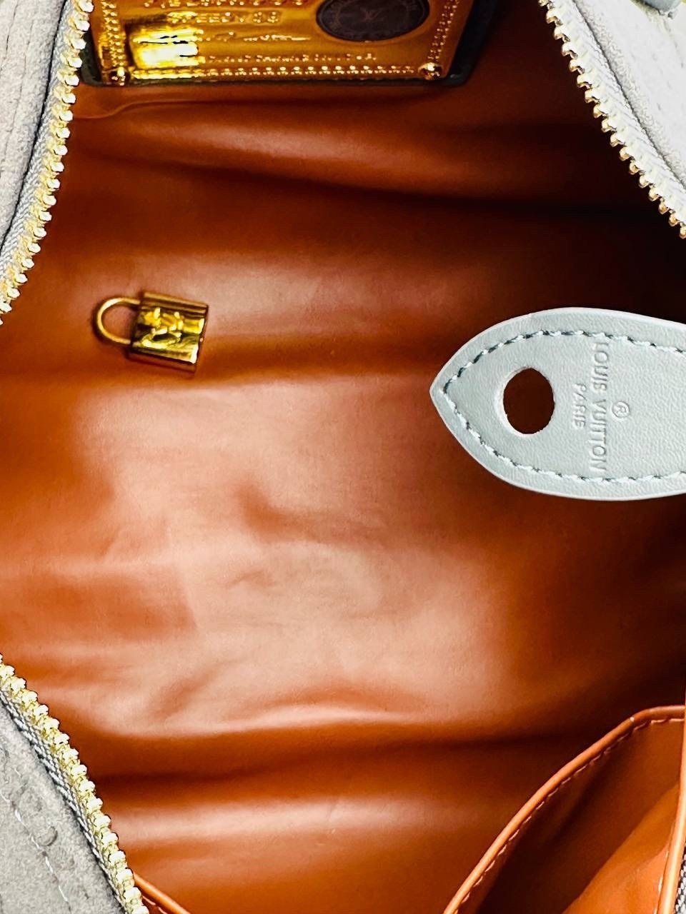 louis vuitton speedy,сумка,модная сумка,сумки для женщин,сумочка луи виттон
