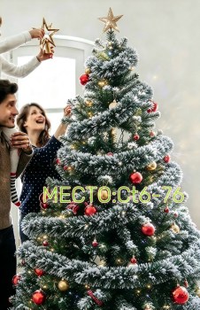 Одежда