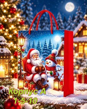 Одежда