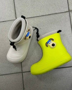 Сапоги
