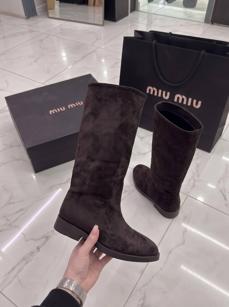сапоги,,женские сапоги,сапоги celine,сапоги miu miu