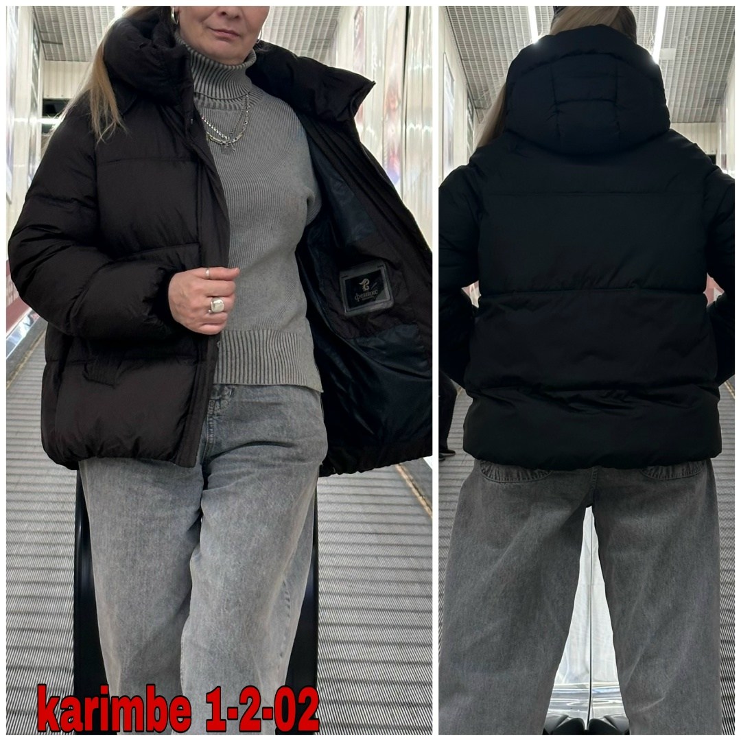 куртка женская,куртка женская зимняя,куртка демисезонная,женская куртка зима,пуховик короткий зимняя куртка оверсайз с капюшоном milania style 262186173