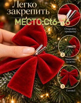 Одежда